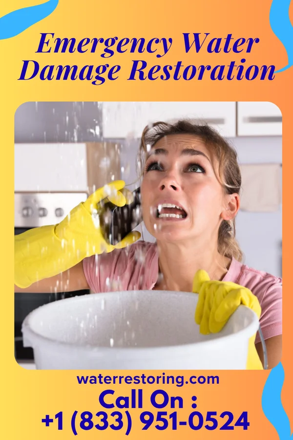Emergency Water Damage Restoration in New Buffalo, PA