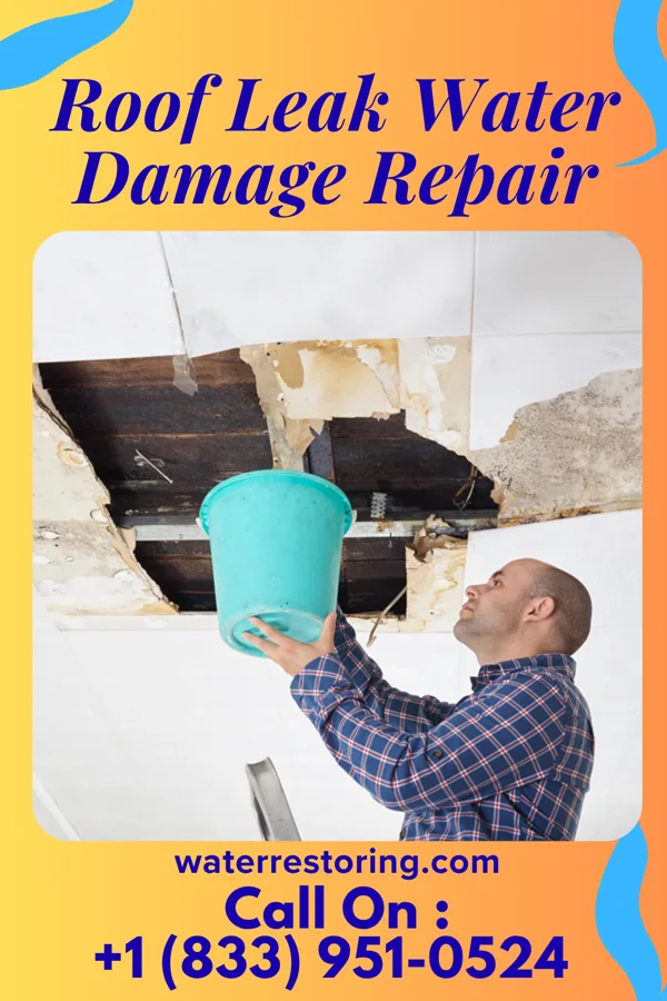 Roof Leak Water Damage Repair in New Buffalo, PA