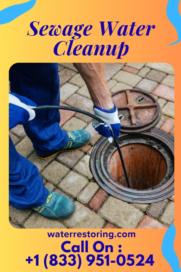 Sewage Water Cleanup in New Buffalo, PA